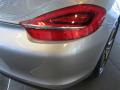 Taillight #10