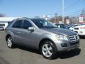 2010 ML 350 4Matic #3