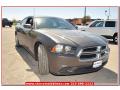 2013 Charger SE #8