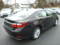 2013 ES 300h Hybrid #4 2013 ES 300h Hybrid #4