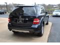 2006 ML 350 4Matic #10
