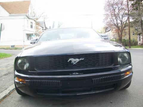 Black Ford Mustang V6 Premium Coupe.  Click to enlarge.