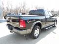 2011 Ram 1500 SLT Outdoorsman Quad Cab 4x4 #7 2011 Ram 1500 SLT Outdoorsman Quad Cab 4x4 #7