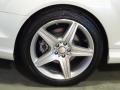 2010 CL 550 4Matic #14
