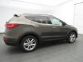  2013 Hyundai Santa Fe Cabo Bronze #2