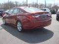 2011 Sonata Limited #5