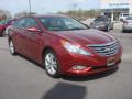 2011 Sonata Limited #8