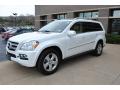 2010 GL 450 4Matic #21 2010 GL 450 4Matic #21