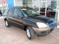 2008 Sportage LX V6 4x4 #12