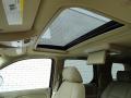 2013 Escalade Luxury AWD #16