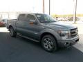 2013 F150 FX2 SuperCrew #17