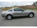 2008 Mustang V6 Deluxe Coupe #6