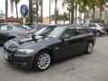 2011 5 Series 528i Sedan #5