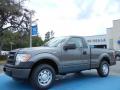 2013 Ford F150 XL Regular Cab