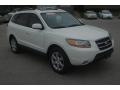 2008 Santa Fe Limited #21