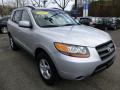 2008 Santa Fe GLS #7