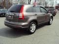 2010 CR-V EX-L AWD #6