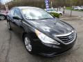 2011 Sonata GLS #6 2011 Sonata GLS #6