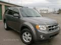 2010 Escape XLT V6 4WD #3 2010 Escape XLT V6 4WD #3
