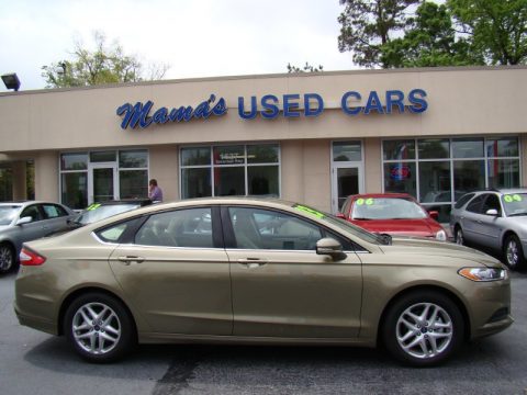 Ginger Ale Metallic Ford Fusion SE 1.6 EcoBoost. Click to enlarge. Ginger Ale Metallic Ford Fusion SE 1.6 EcoBoost. Click to enlarge.