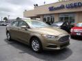 2013 Fusion SE 1.6 EcoBoost #2 2013 Fusion SE 1.6 EcoBoost #2
