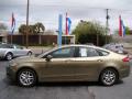 2013 Ford Fusion Ginger Ale Metallic #5 2013 Ford Fusion Ginger Ale Metallic #5