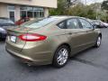2013 Fusion SE 1.6 EcoBoost #8 2013 Fusion SE 1.6 EcoBoost #8