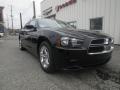 2013 Dodge Charger SE