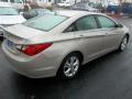 2011 Sonata Limited #4