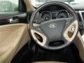 2011 Sonata Limited #17
