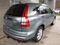 2011 CR-V SE 4WD #2