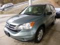 2011 CR-V SE 4WD #5