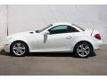 2010 SLK 300 Roadster #8