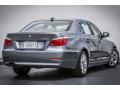 2009 5 Series 528i Sedan #14