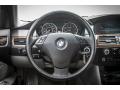  2009 BMW 5 Series 528i Sedan Steering Wheel #15