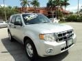 2012 Ford Escape XLT Ingot Silver Metallic 2012 Ford Escape XLT Ingot Silver Metallic