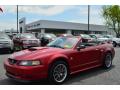2004 Mustang GT Convertible #8