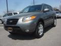 2009 Hyundai Santa Fe SE Steel Gray