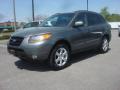 2009 Santa Fe SE #2