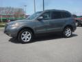 2009 Santa Fe SE #3