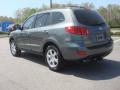 2009 Santa Fe SE #4
