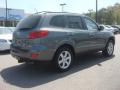 2009 Santa Fe SE #6
