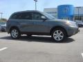 2009 Santa Fe SE #8