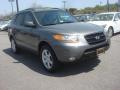 2009 Santa Fe SE #9