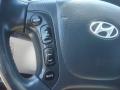 2009 Santa Fe SE #22