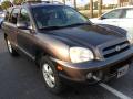 Click for details. 2005 Hyundai Santa Fe GLS
