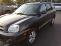 2005 Santa Fe GLS #7