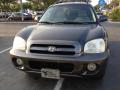 2005 Santa Fe GLS #8