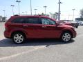 2011 Journey Lux AWD #7