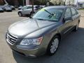 2010 Sonata Limited #6